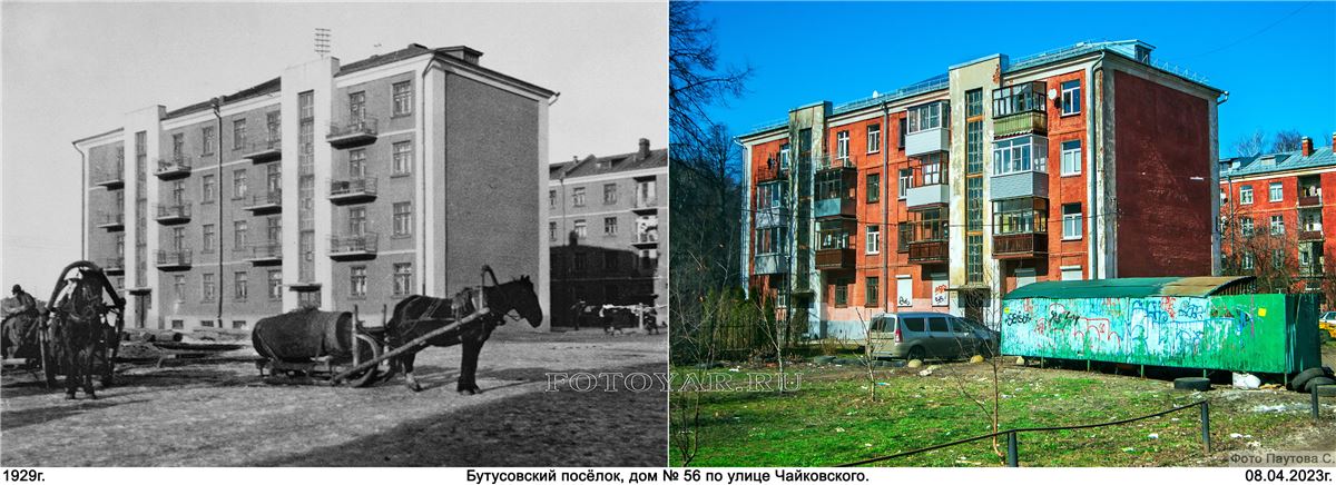 ����� ����������� 56